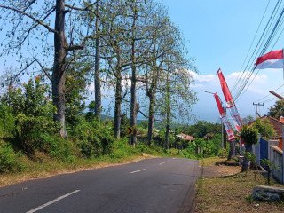 DIJUAL KEBUN DURIAN PRODUKTIF VIEW GUNUNG ARJUNA
