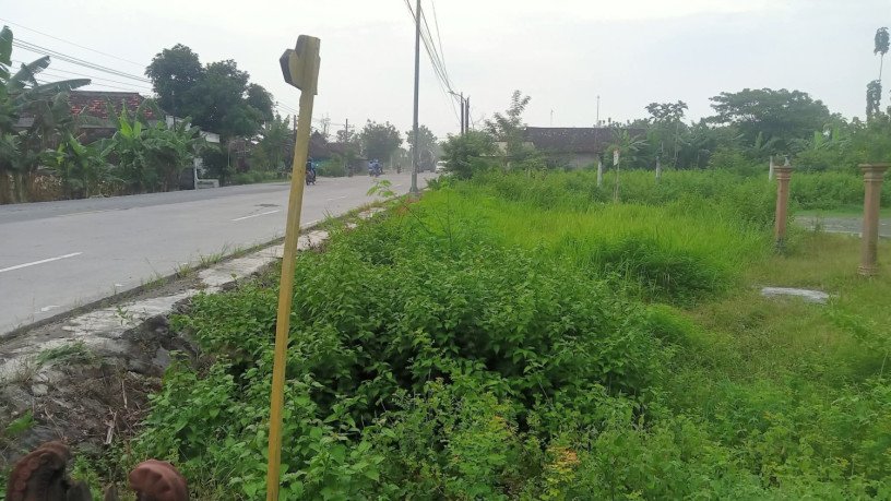 dijual-tanah-strategis-di-ngraho-bojonegoro-big-0