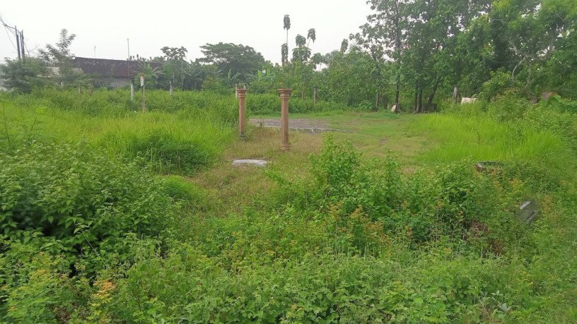 dijual-tanah-strategis-di-ngraho-bojonegoro-big-1