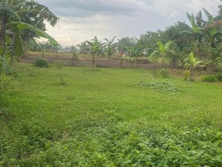 DIJUAL TANAH PEKARANGAN MURAH