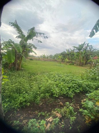 dijual-tanah-pekarangan-murah-big-1