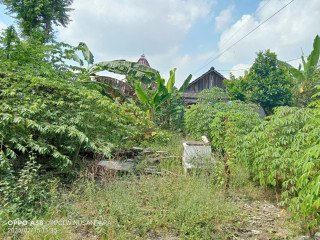 Dijual Tanah Murah Kalitidu, Bojonegoro