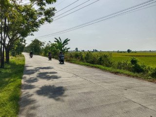 Dijual Tanah SHM Pribadi Tanjungharjo, Bojonegoro