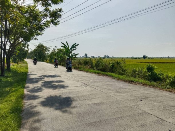 dijual-tanah-shm-pribadi-tanjungharjo-bojonegoro-big-0