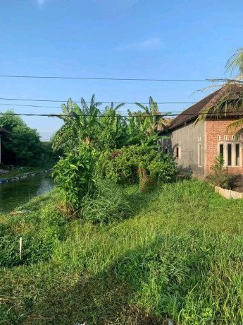 dijual-tanah-shm-sidoarjo-tulangan-dsn-karang-ploso-big-0