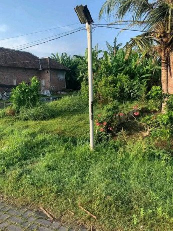 dijual-tanah-shm-sidoarjo-tulangan-dsn-karang-ploso-big-1