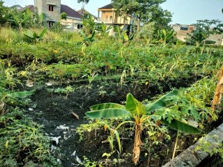 DIJUAL TANAH PEKARANGAN NGUMPAK DALEM, BOJONEGORO