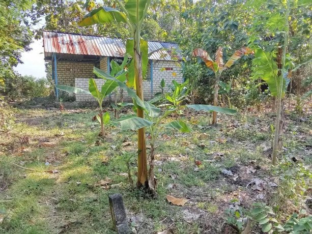 dijual-tanah-pekarangan-mojo-agung-soko-big-0