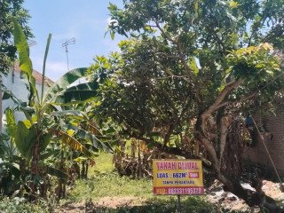 Dijual Tanah di Desa Sukosewu, Kec. Sukosewu