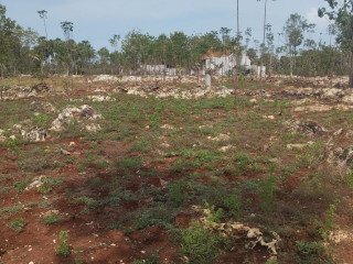 DIJUAL TANAH TEGALAN SHM