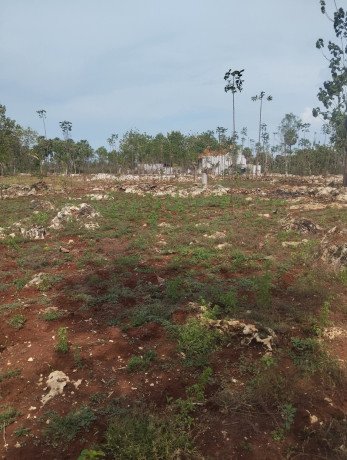 dijual-tanah-tegalan-shm-big-0