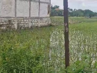 Dijual Tanah di Leran, Kalitidu Bojonegoro