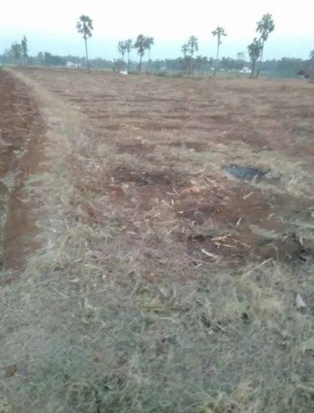 dijual-tanah-tegal-sumurjalak-big-3