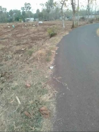 dijual-tanah-tegal-sumurjalak-big-1