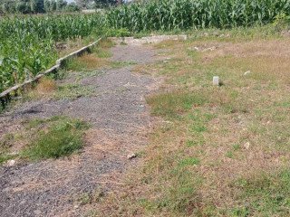 Dijual sebidang tanah siap bangun