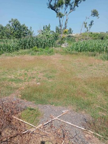 dijual-sebidang-tanah-siap-bangun-big-1