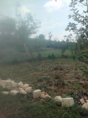 dijual-tanah-merah-produktif-big-2