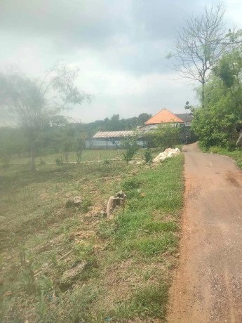 dijual-tanah-merah-produktif-big-1