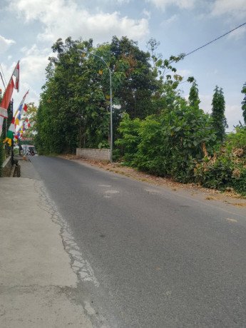 disewakan-pekarangan-rata-strategis-di-kasongan-bantul-big-2