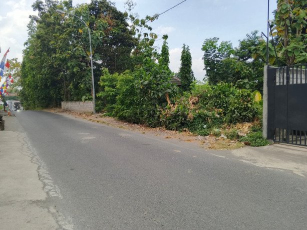 disewakan-pekarangan-rata-strategis-di-kasongan-bantul-big-0