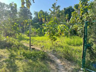 Dijual Tanah Kavling Strategis