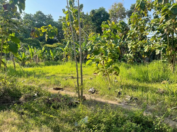 dijual-tanah-kavling-strategis-big-1