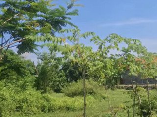 DIJUAL TANAH PEKARANGAN SHM