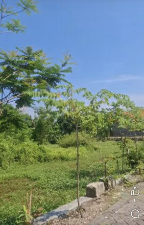 dijual-tanah-pekarangan-shm-big-0