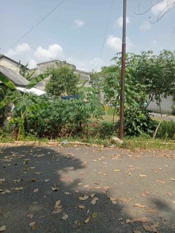 dijual-sebidang-tanah-shm-big-0