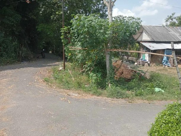 dijual-sebidang-tanah-shm-big-3