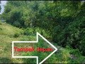 dijual-tanah-pekarangan-strategis-small-0