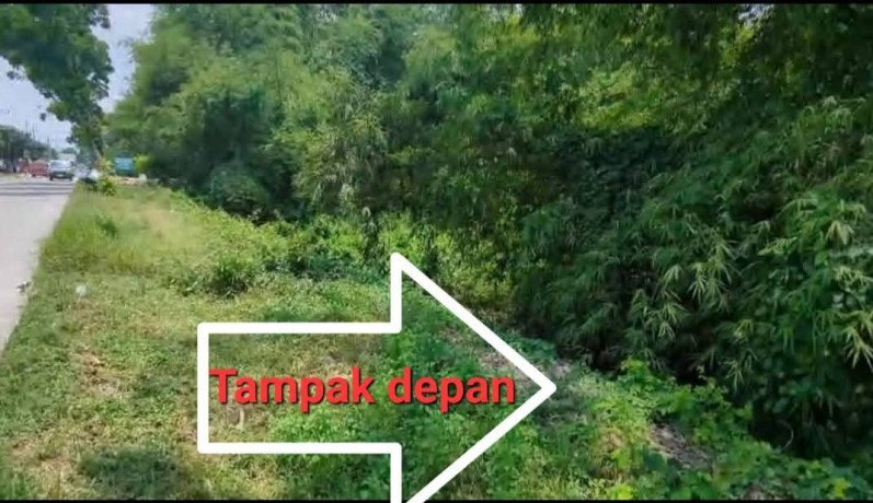 dijual-tanah-pekarangan-strategis-big-0