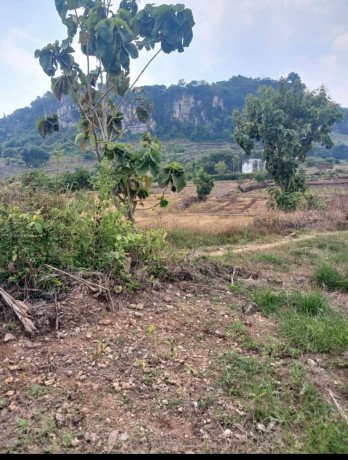 dijual-tanah-luas-dan-strategis-big-1