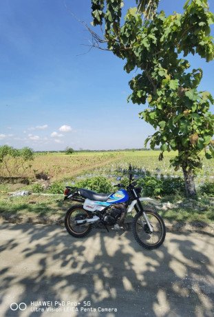 dijual-sawah-shm-luas-3-hektar-big-0