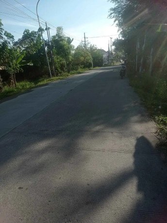 dijual-tanah-2-shm-tanjungharjo-kapas-big-2