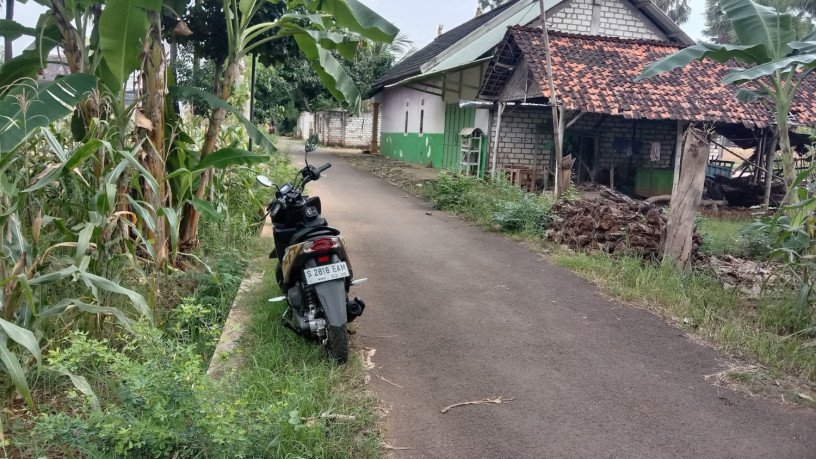 dijual-murah-sawah-tegal-produktif-desa-tunah-semanding-big-3