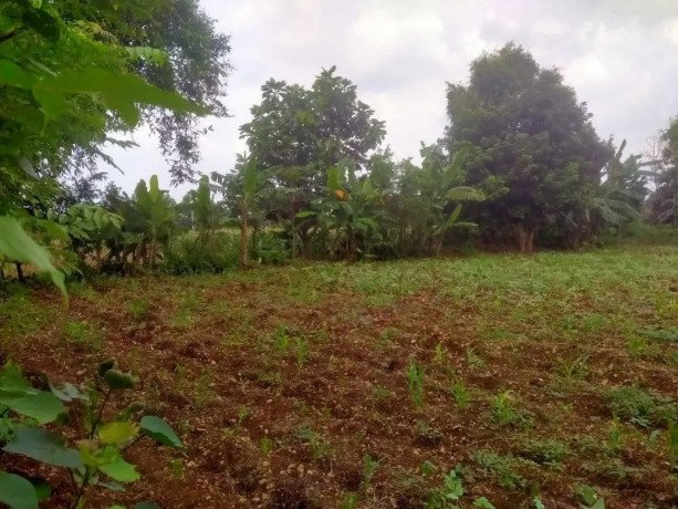 dijual-tanah-strategis-tambakboyo-tuban-big-0