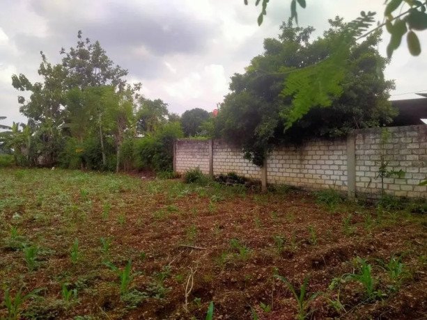 dijual-tanah-strategis-tambakboyo-tuban-big-2