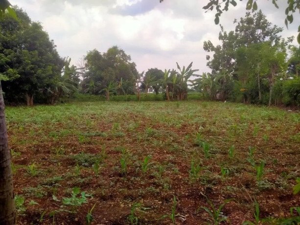 dijual-tanah-strategis-tambakboyo-tuban-big-1