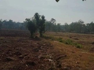 Dijual Cepat Lahan SHM Pekarangan