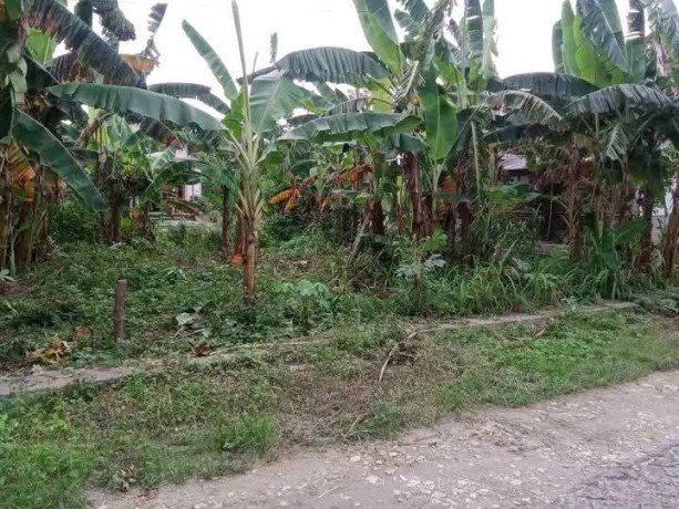 dijual-tanah-pekarangan-padat-penduduk-big-0