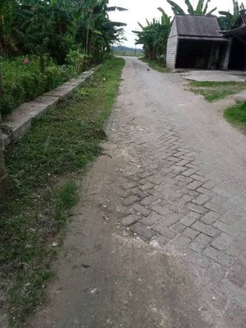 dijual-tanah-pekarangan-padat-penduduk-big-2