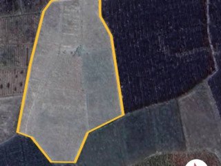 DIJUAL SAWAH PRODUKTIF