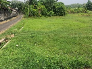 Dijual Lahan Strategis Pas Jalan Raya Merakurak Tuwiri Kulon