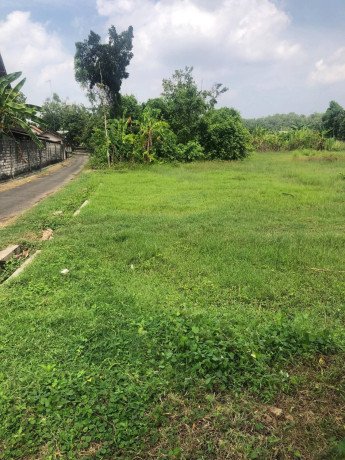 dijual-lahan-strategis-pas-jalan-raya-merakurak-tuwiri-kulon-big-0