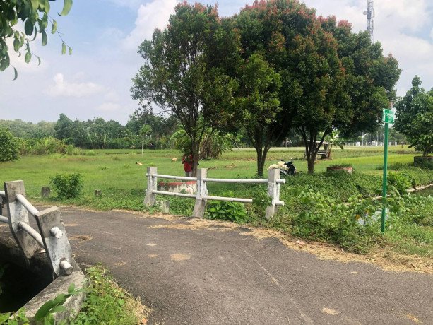 dijual-lahan-strategis-pas-jalan-raya-merakurak-tuwiri-kulon-big-2