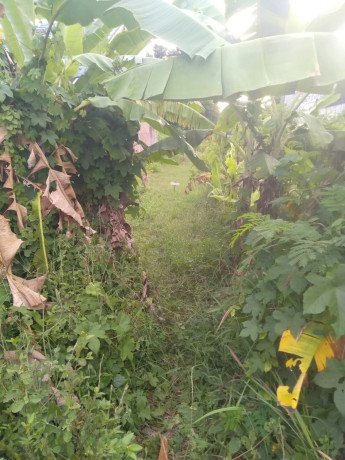 disewakan-lahan-strategis-big-2