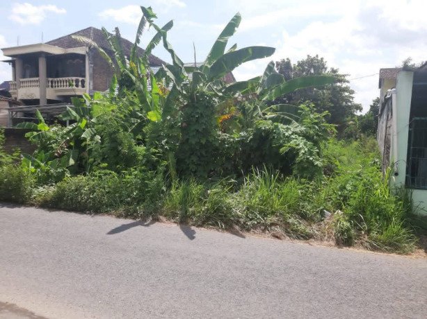 disewakan-lahan-strategis-big-0