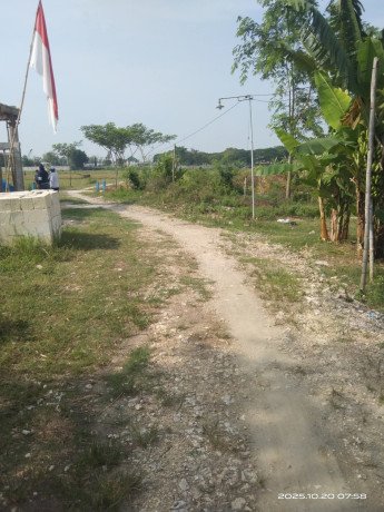 dijual-tanah-pekarangan-shm-big-2