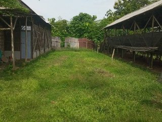 Dijual Tanah + Kandang Ayam Petelur Siap Pakai
